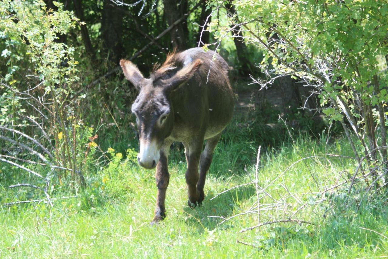 Valcaris: Gites, Chambre D'Hotes Et Tables D'Hotes Le Chaffal Buitenkant foto