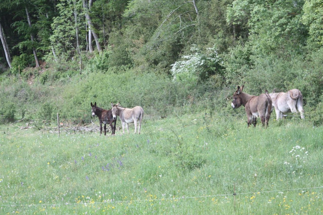 Valcaris: Gites, Chambre D'Hotes Et Tables D'Hotes Le Chaffal Buitenkant foto